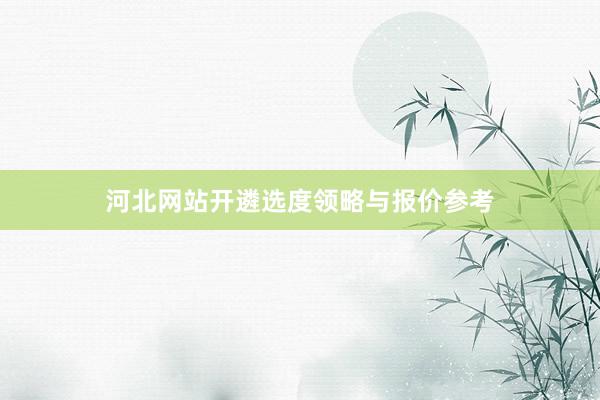 河北网站开遴选度领略与报价参考