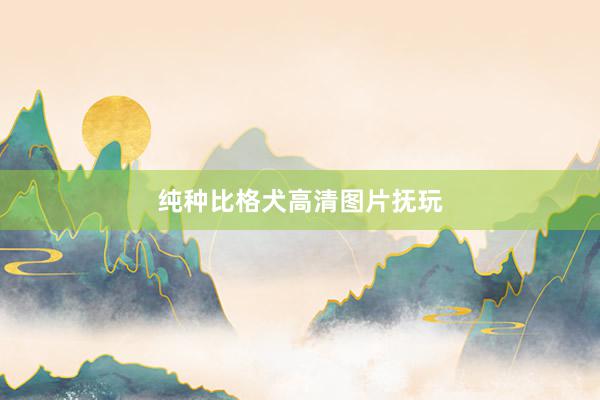纯种比格犬高清图片抚玩